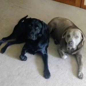 Meet your Posher, Heather